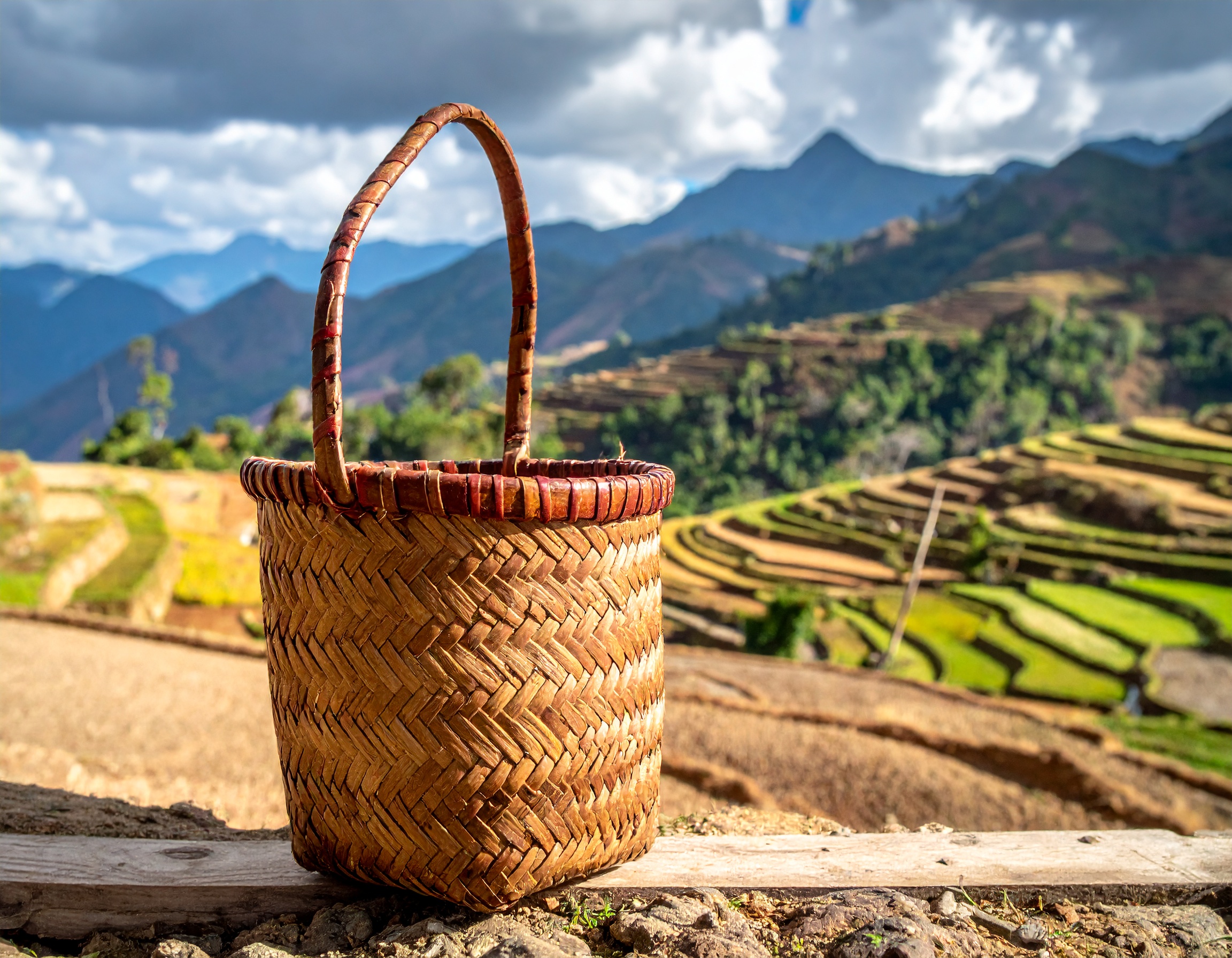 Panier Tressé Artisanal